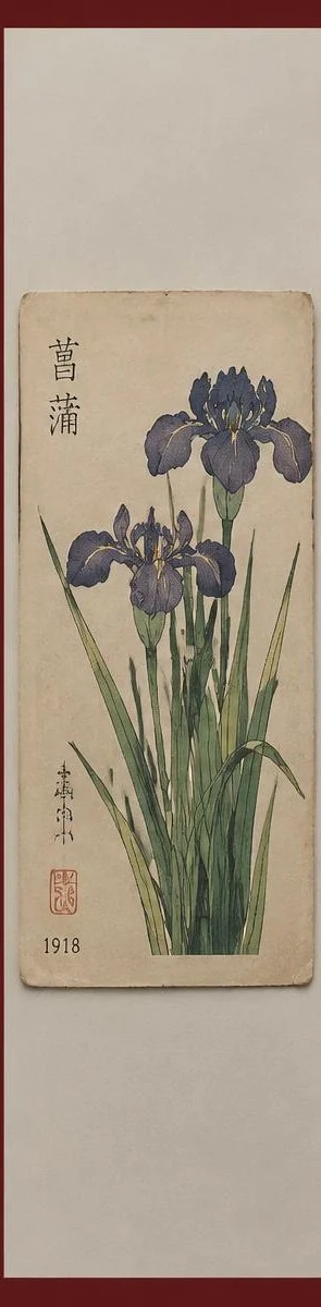 Kyoto Iris Botanical Study